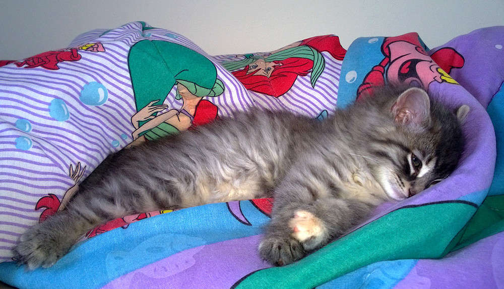 ����� �� ����� ... ���� ��������. ����� �������  �� PhotoGeek.ru #�������� ���