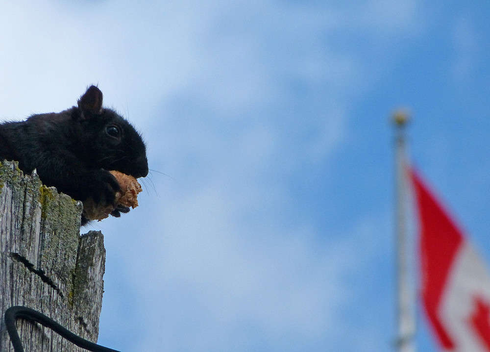 ������� � ����� ����� �������  �� PhotoGeek.ru #�������� ���