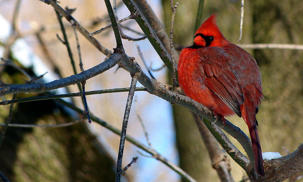 ������������� ����� �������  �� PhotoGeek.ru #�������� ���