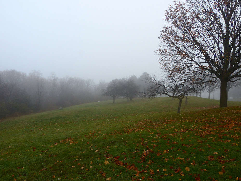 � ������� ���������� ����� �������  �� PhotoGeek.ru #�����