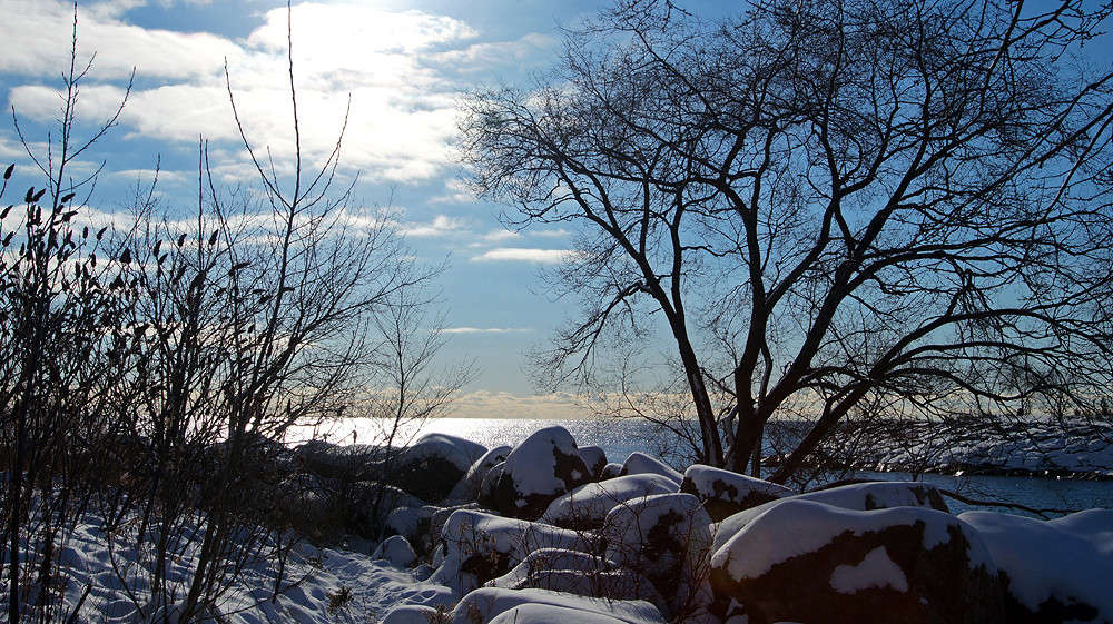 ������ ������ ������ ����� �������  �� PhotoGeek.ru #�����