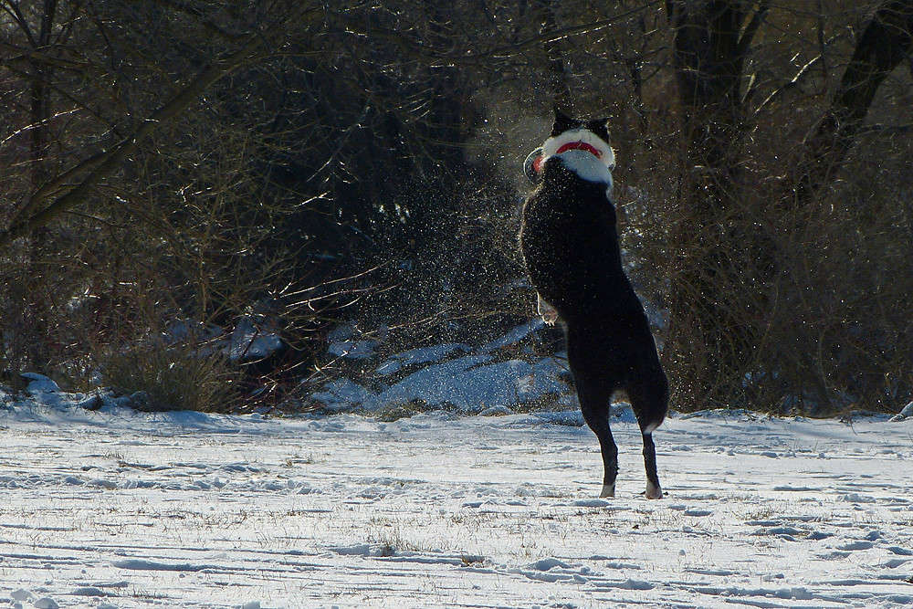 ����� ����� �������  �� PhotoGeek.ru #�������� ���