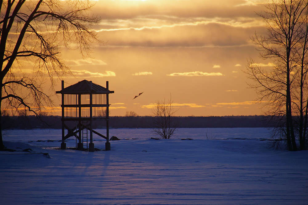 ������� ����� �������  �� PhotoGeek.ru #������ ��� �������