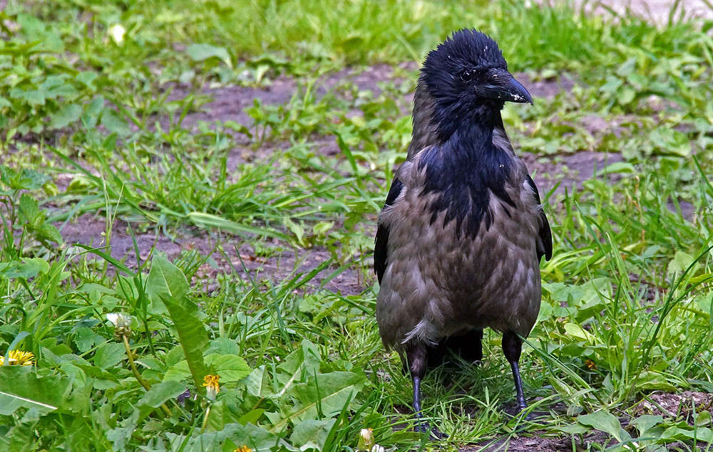 ������ ����� ������� ����� �������  �� PhotoGeek.ru #�������� ���