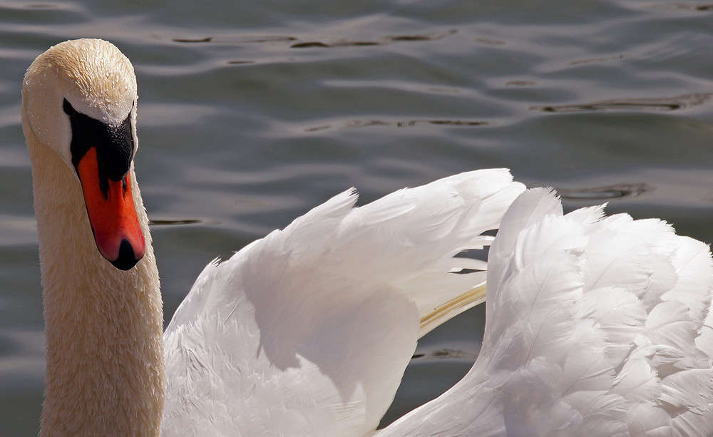 ����� �� ����� ����� �������  �� PhotoGeek.ru #�������� ���