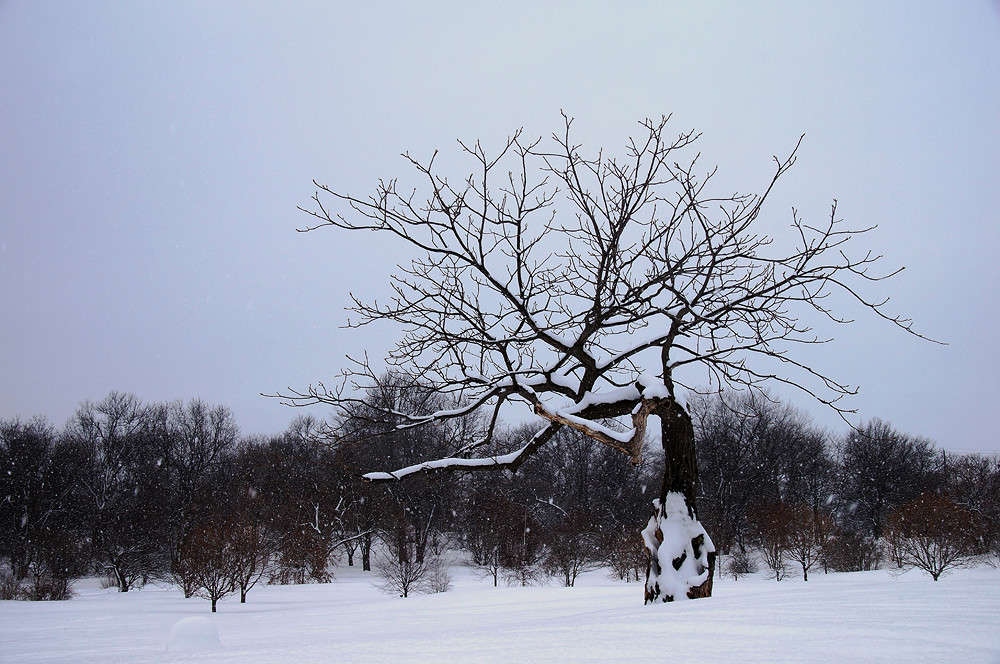 ����������� ����� �������  �� PhotoGeek.ru #������ ��� �������