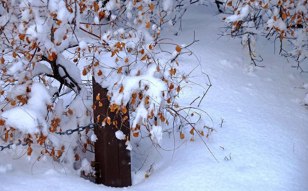 �������� ��������� ����� �������  �� PhotoGeek.ru #������ ��� �������