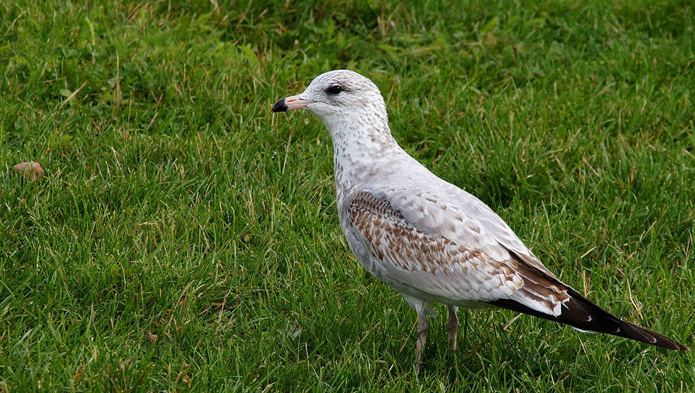 ���� ������� ����� �������  �� PhotoGeek.ru #�������� ���