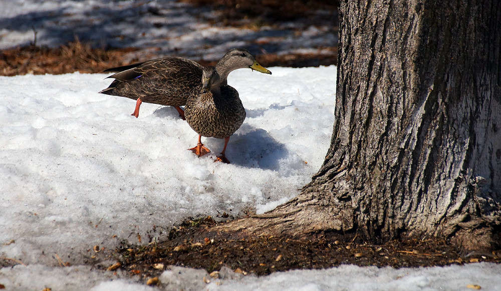 ��� - ���������! ����� �������  �� PhotoGeek.ru #�������� ���