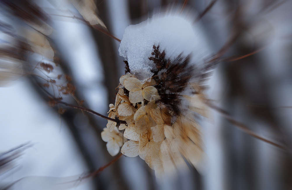 ��������� ����� �������  �� PhotoGeek.ru #������ ��� �������