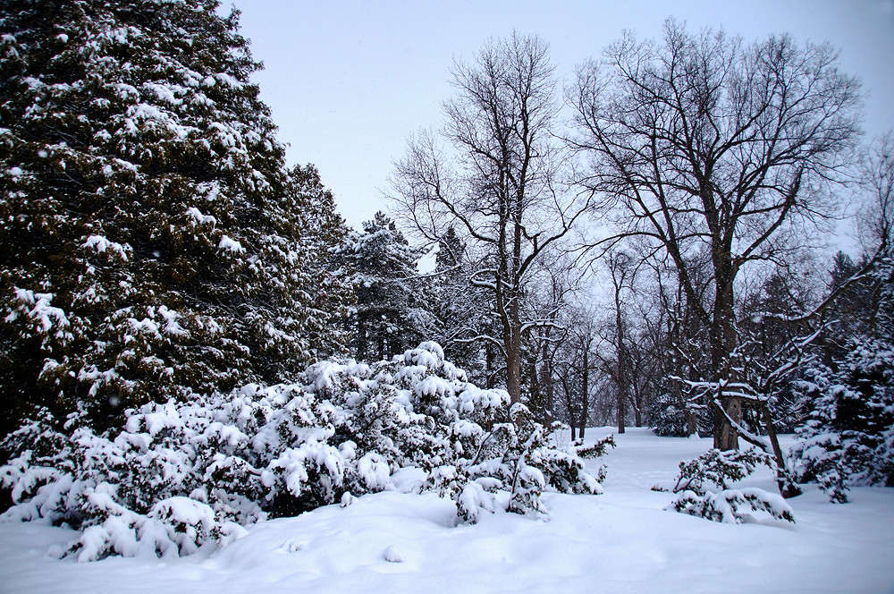 ����� ��� ��������� �������� ����� �������  �� PhotoGeek.ru #������ ��� �������