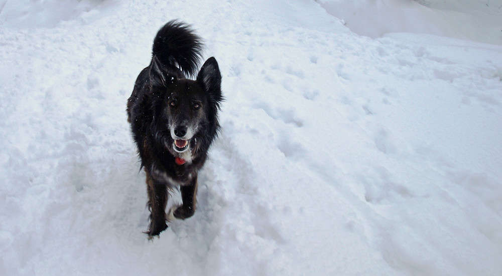 ������� ��� ��, ��� �������? ����� �������  �� PhotoGeek.ru #�������� ���