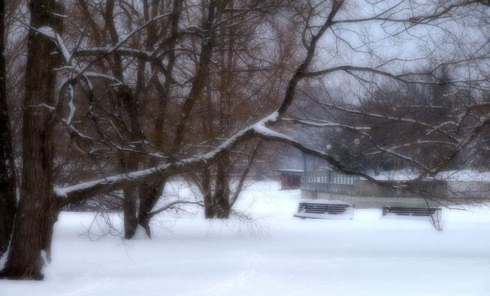 ����� ���� �� �������� ����� �������  �� PhotoGeek.ru #�����