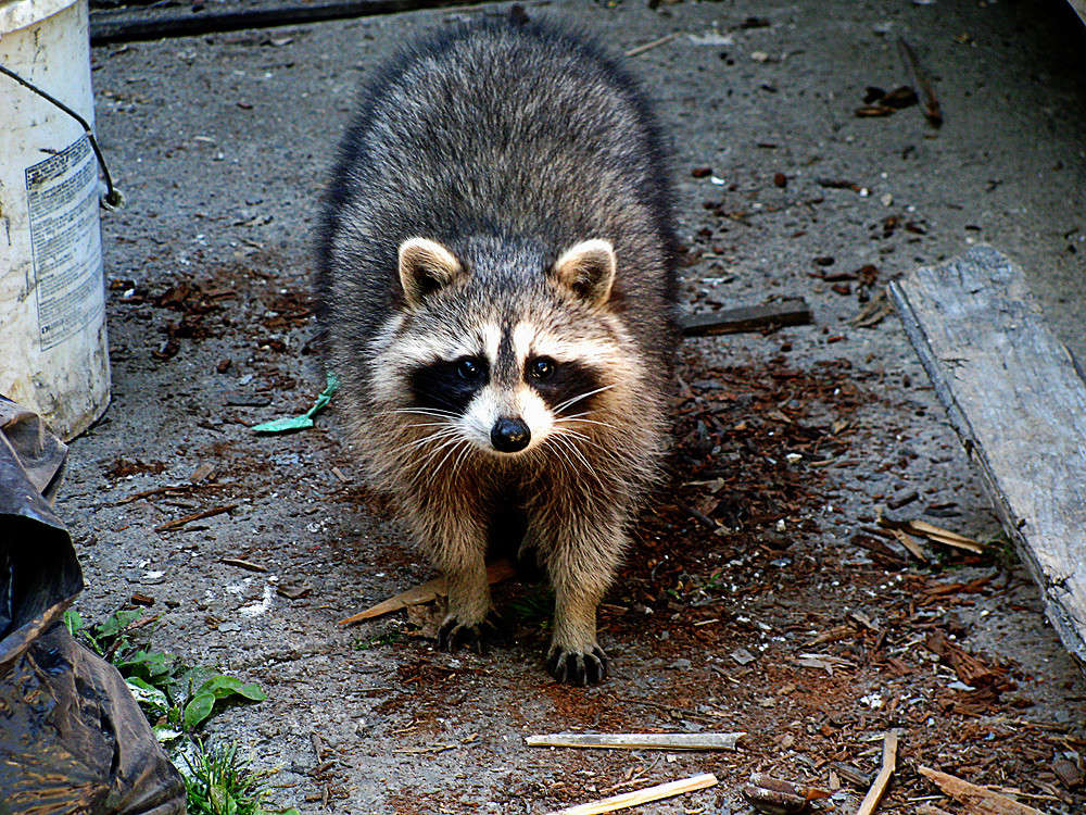 ����� �������� ���������? ����� �������  �� PhotoGeek.ru #�������� ���