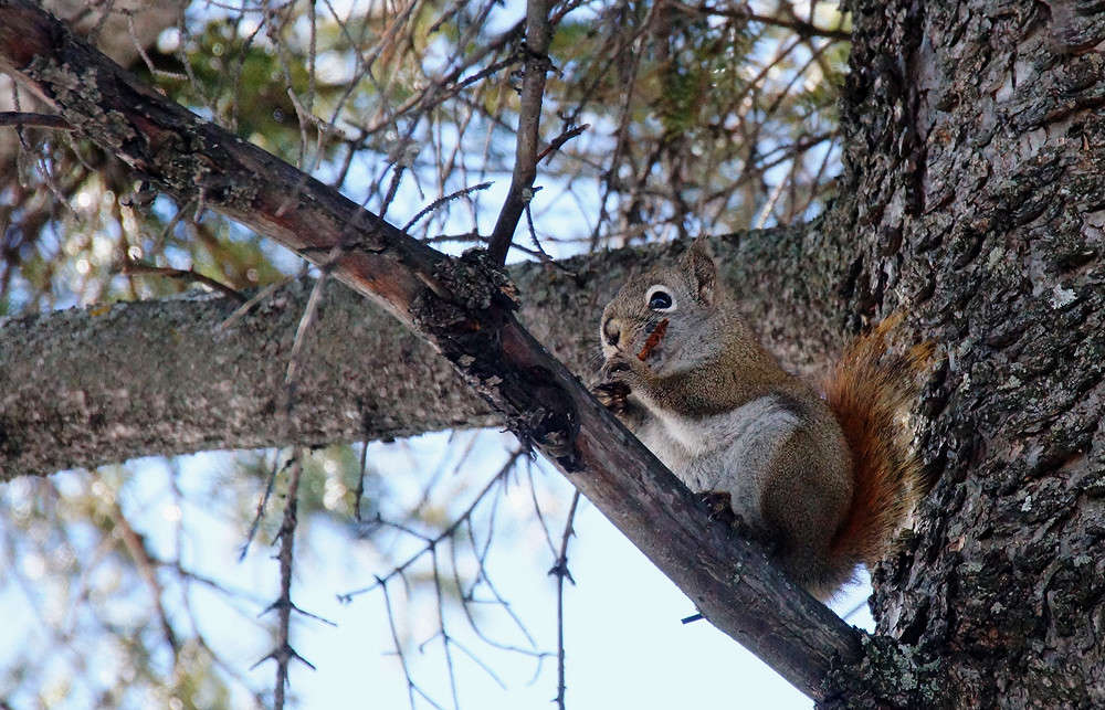 ���� �� ������� ����� �������  �� PhotoGeek.ru #�������� ���