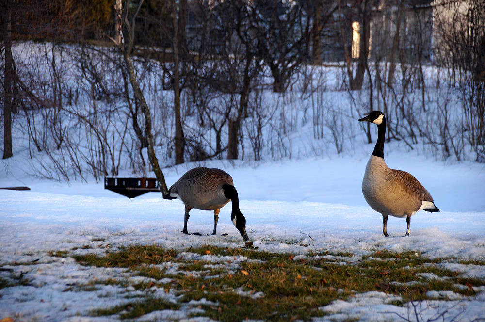 �������� ������� ����� �������  �� PhotoGeek.ru #�������� ���