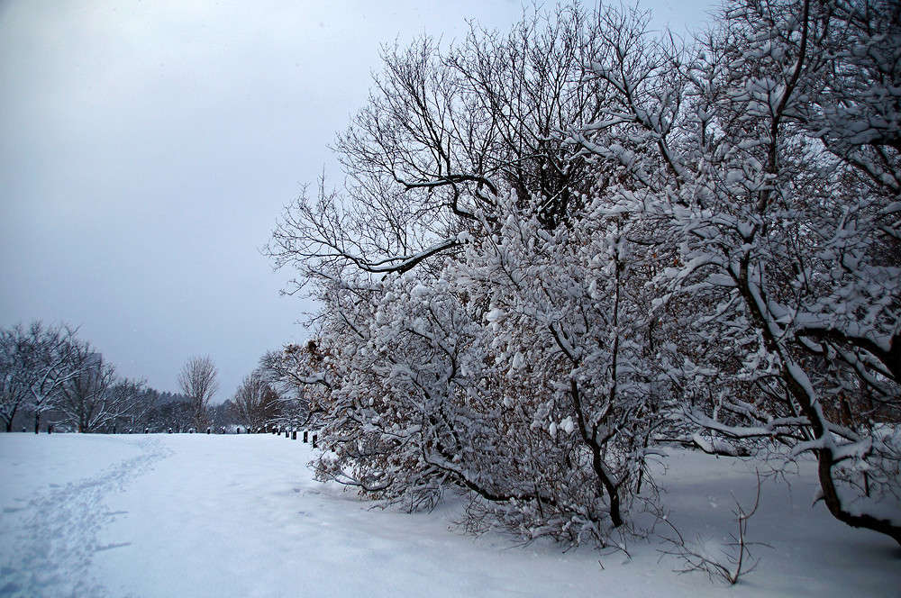 �������� �������� ����� �������  �� PhotoGeek.ru #������ ��� �������