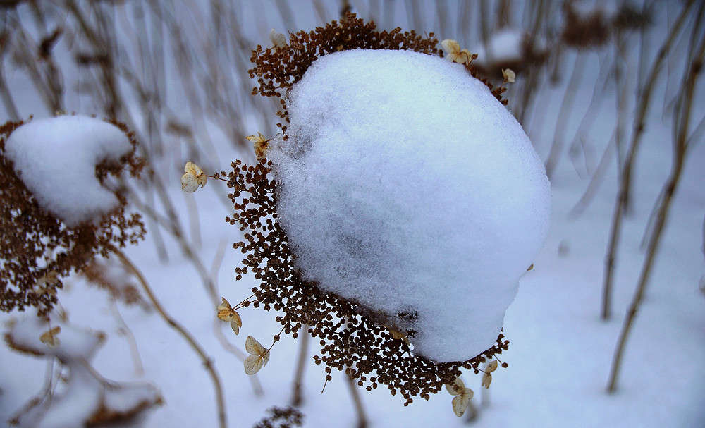 ���������� ������� ����� �������  �� PhotoGeek.ru #������ ��� �������