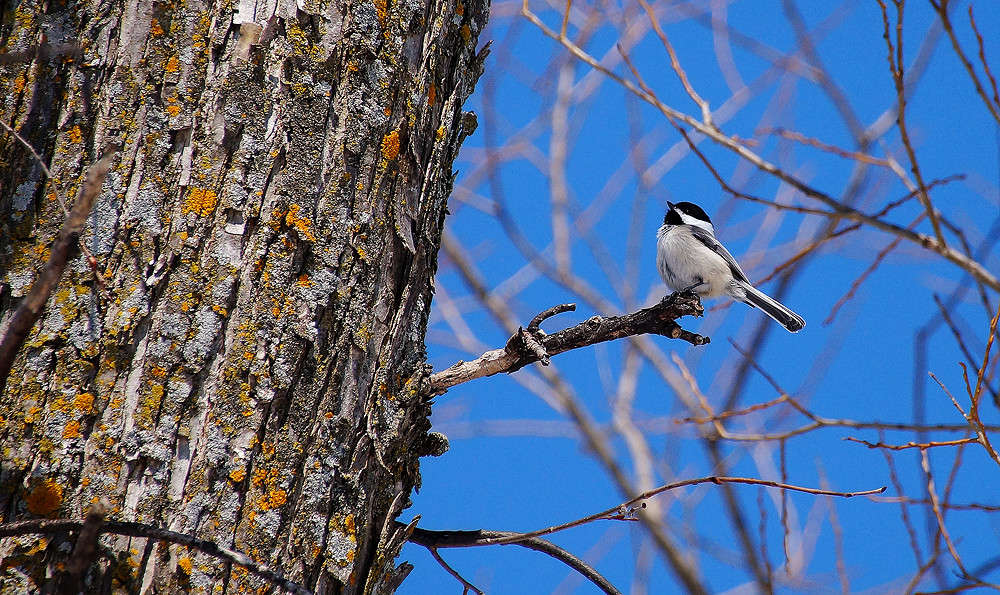 ������ ���� ��������� ����� �������  �� PhotoGeek.ru #�������� ���