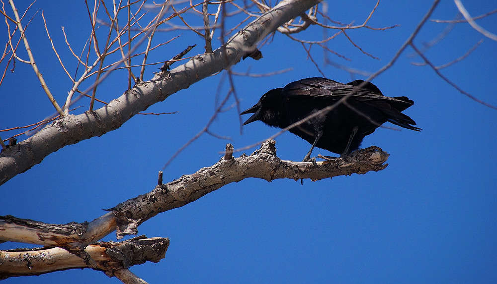 ����� ����� �������  �� PhotoGeek.ru #�������� ���