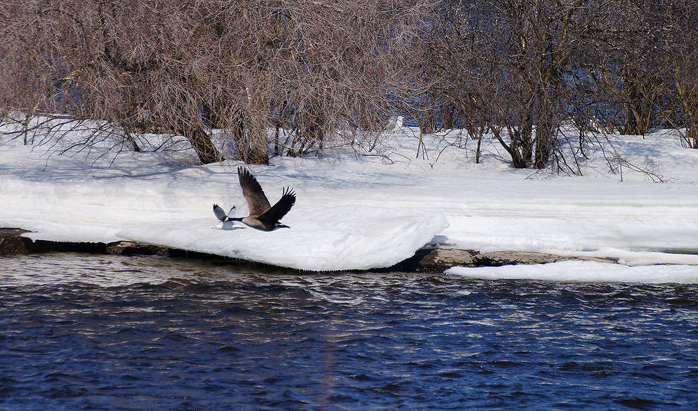 ��� � ���������� ����� �������  �� PhotoGeek.ru #�������� ���