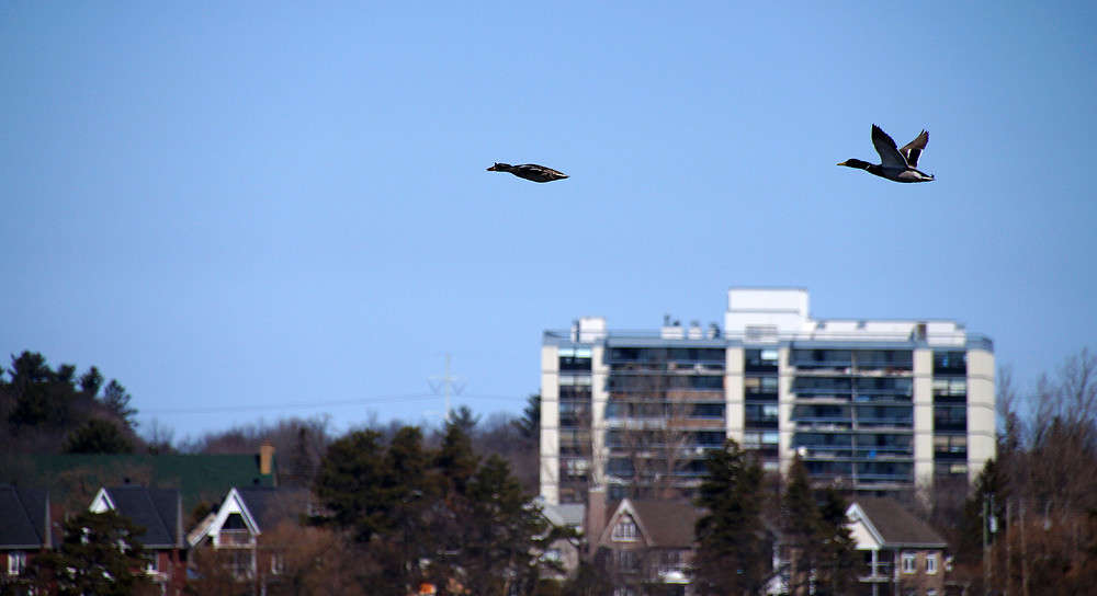 ������, ������ ������! ����� �������  �� PhotoGeek.ru #�������� ���