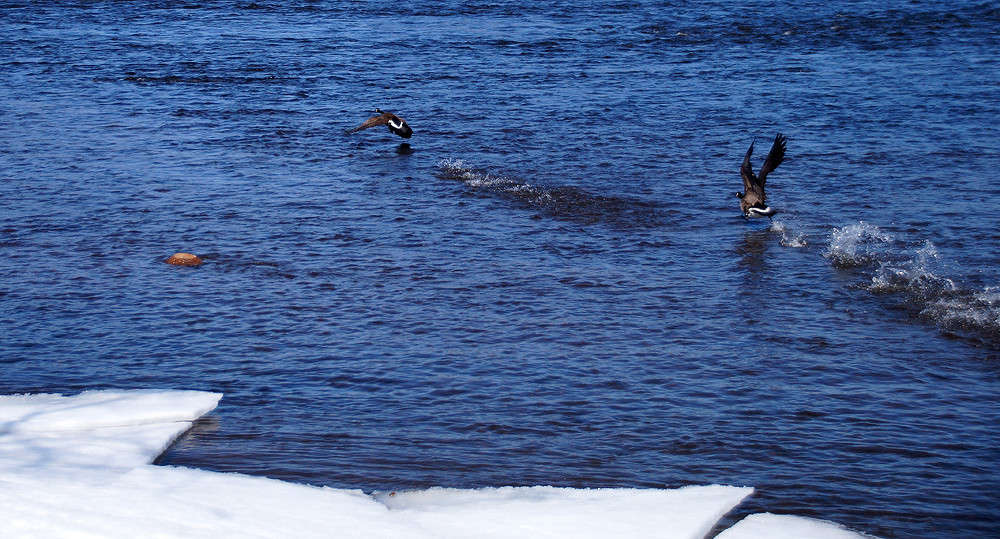 ����� �� �������� ����� �������  �� PhotoGeek.ru #�������� ���