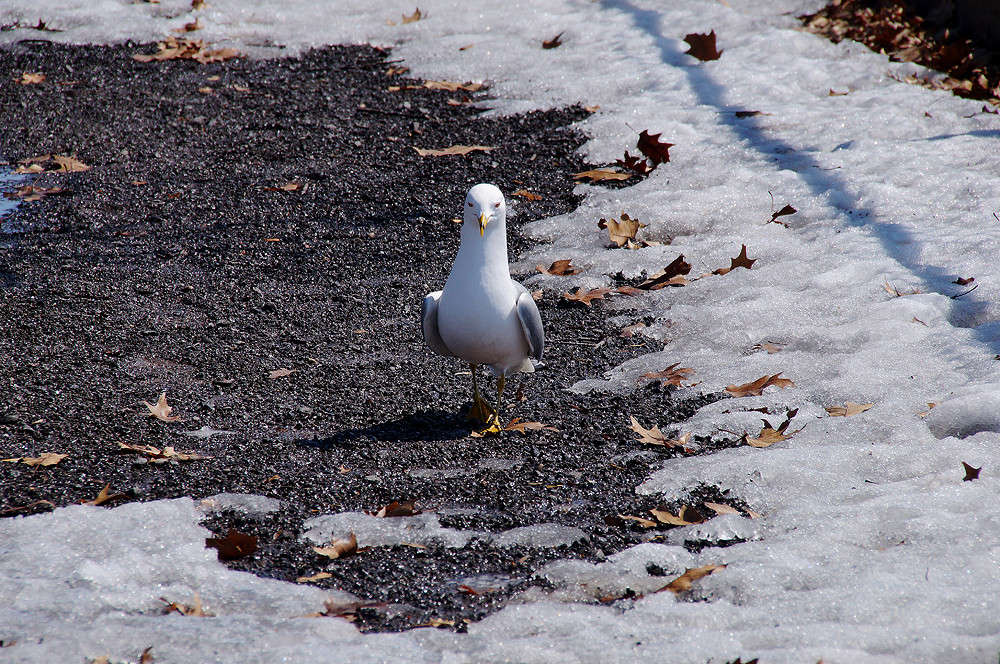 ����� ����� ����� �������  �� PhotoGeek.ru #�������� ���
