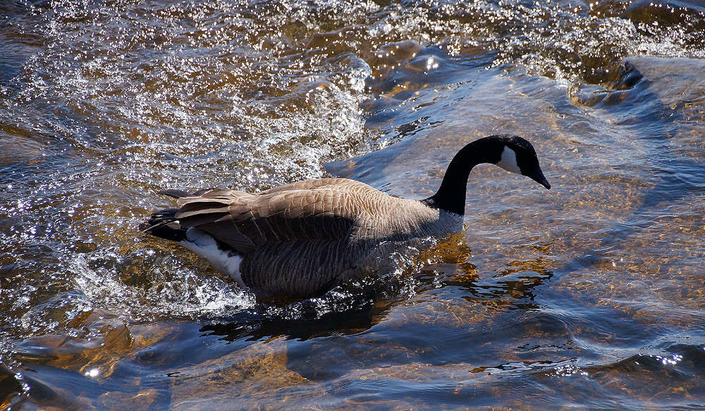 ����������� ������ ����� �������  �� PhotoGeek.ru #�������� ���