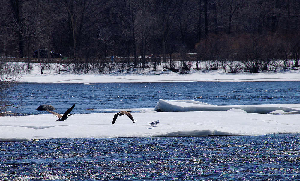 � ���� ������� ����� �������  �� PhotoGeek.ru #�������� ���