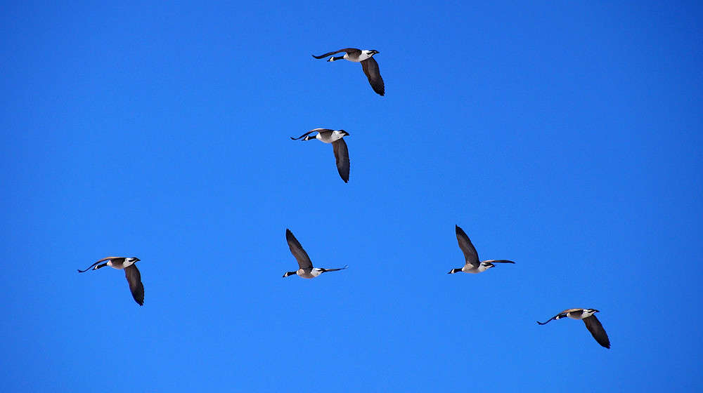 ������������ ��������� ���� ����� �������  �� PhotoGeek.ru #�������� ���