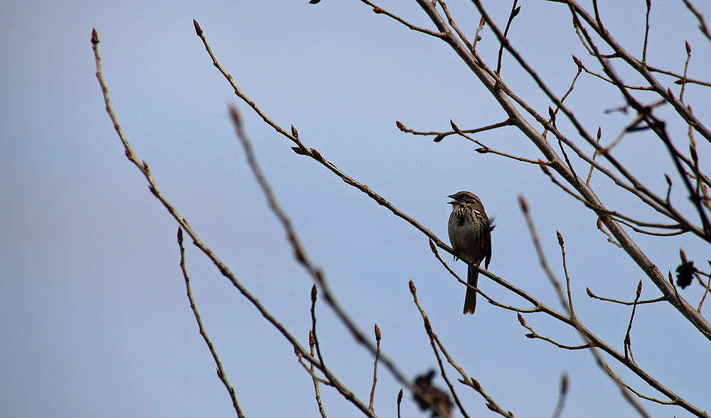 ������� ���������� ����� ����� �������  �� PhotoGeek.ru #�������� ���