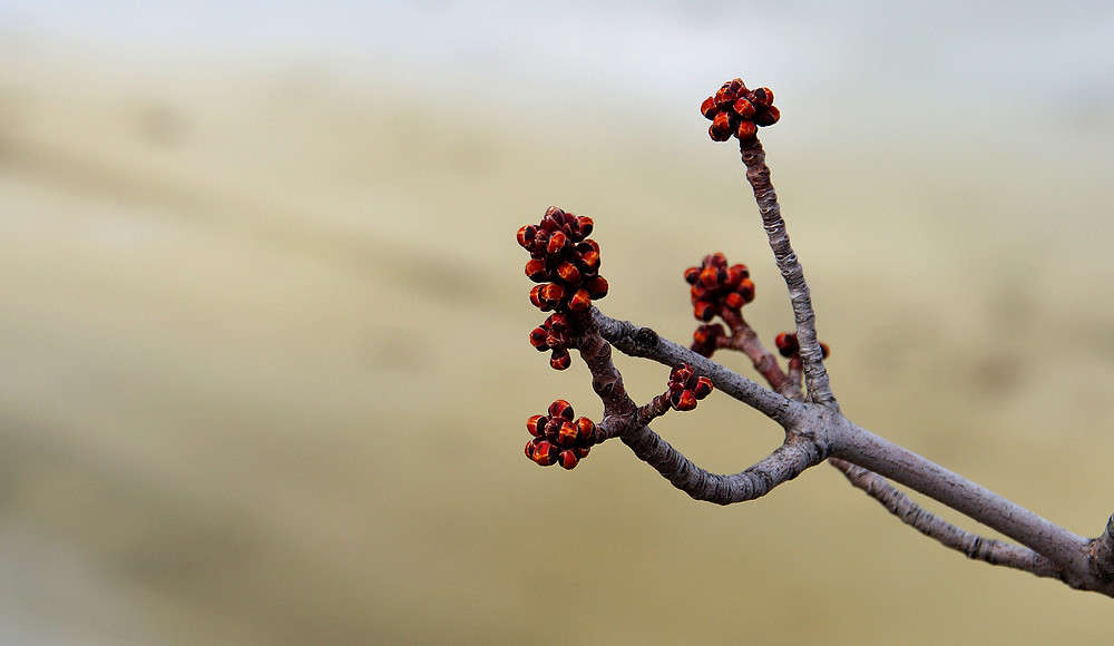 � ���� �� ��� ��������... ����� �������  �� PhotoGeek.ru #������ ��� �������