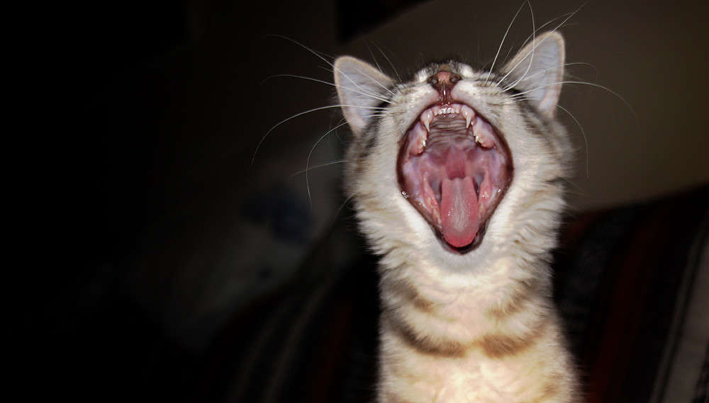 � ������ ���������������� ����� �������  �� PhotoGeek.ru #�������� ���