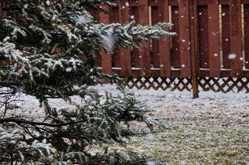 ����� ���� ���� 27 ����� �������  �� PhotoGeek.ru #�����