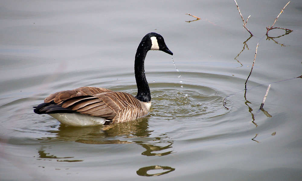 ������ ����� ����� �������  �� PhotoGeek.ru #�������� ���