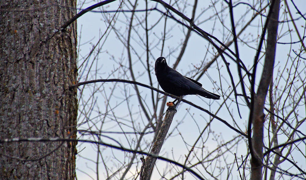 �������� ��� ����� �������  �� PhotoGeek.ru #�������� ���