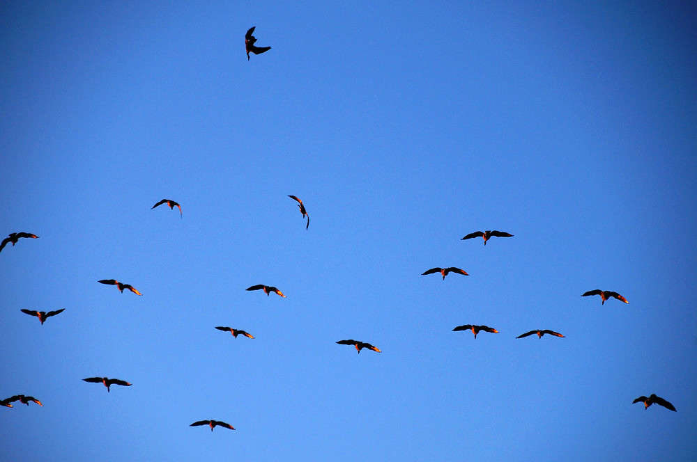 ������� ���� ����� �������  �� PhotoGeek.ru #�������� ���