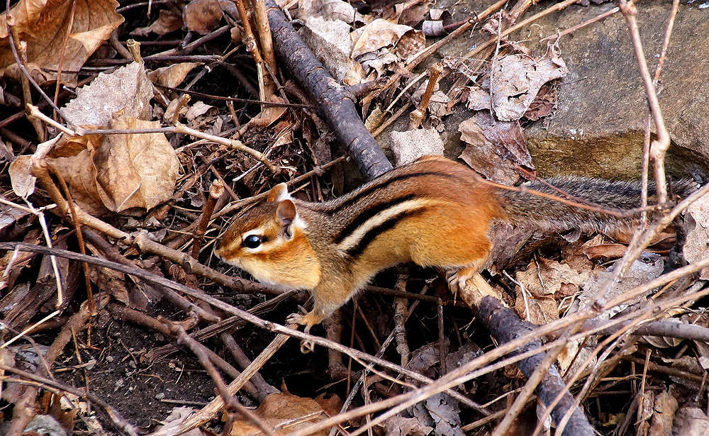 �������� ������ ����� �������  �� PhotoGeek.ru #�������� ���