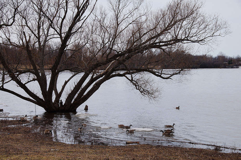 ������ ������� ����� �������  �� PhotoGeek.ru #�������� ���