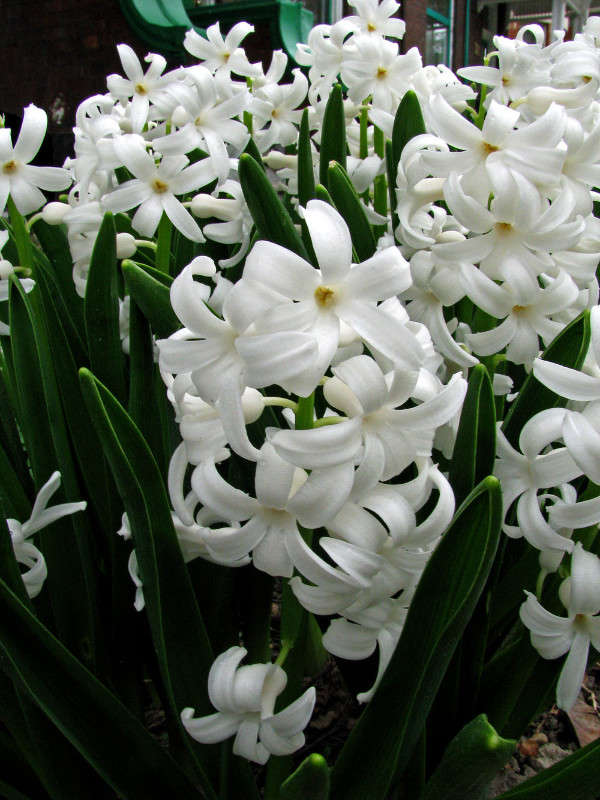 17 ������ 2010 ����� �������  �� PhotoGeek.ru #������ ��� �������