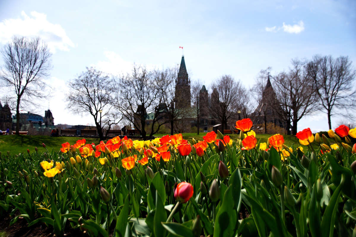 ���������� ����� �������  �� PhotoGeek.ru #�����