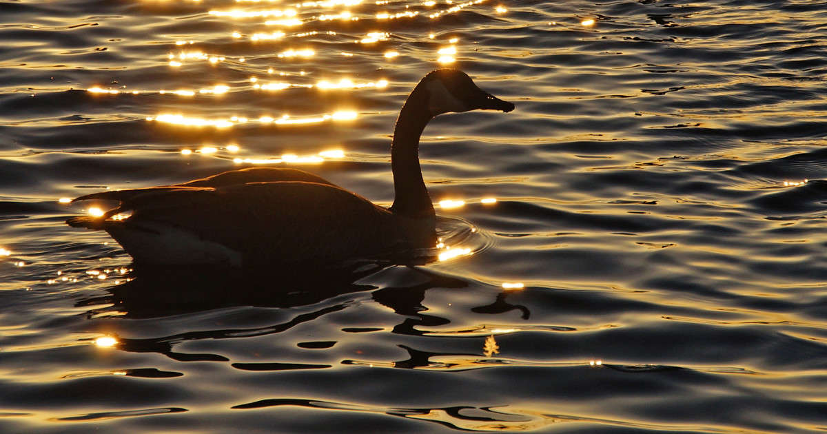 ��������� ����� �������  �� PhotoGeek.ru #�������� ���