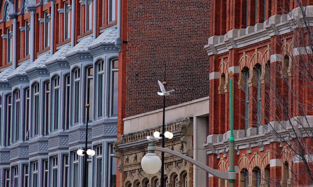 ����� �� ����� ����� �������  �� PhotoGeek.ru #�����