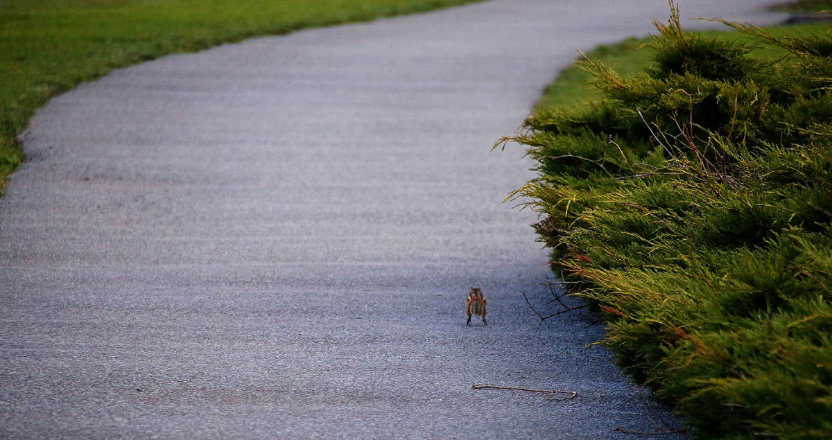 ���������� ���� ����� �������  �� PhotoGeek.ru #�������� ���