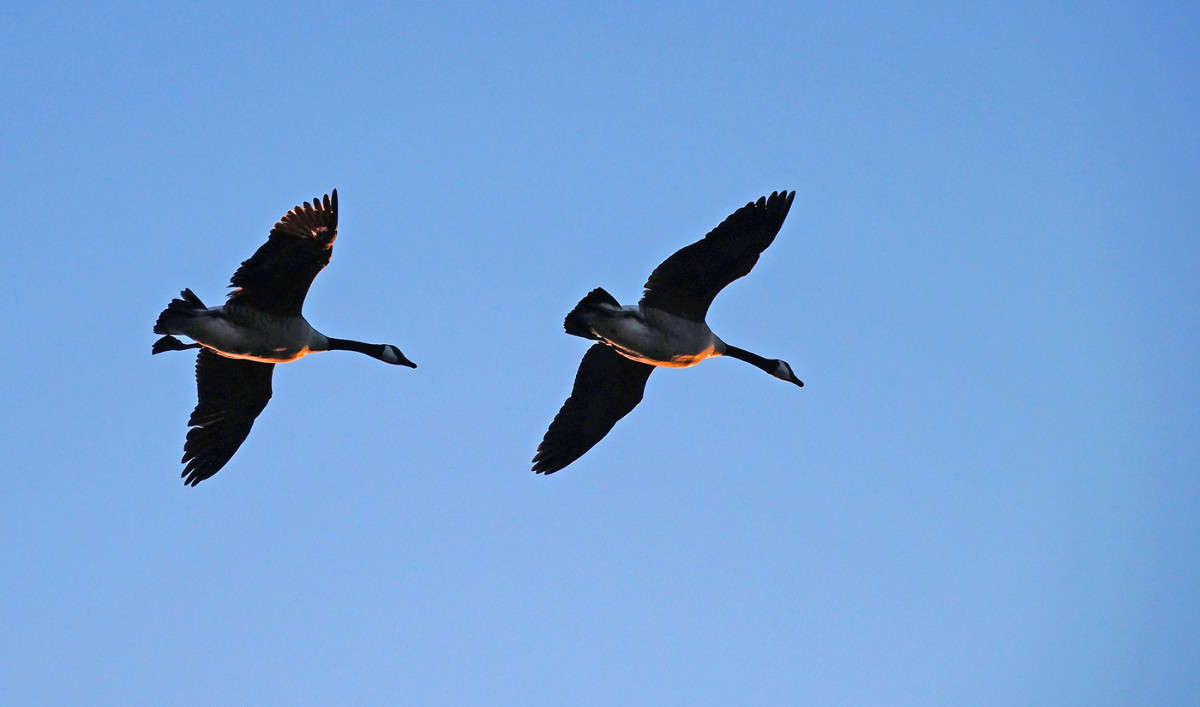 �������� ���� ����������� ����� �������  �� PhotoGeek.ru #�������� ���