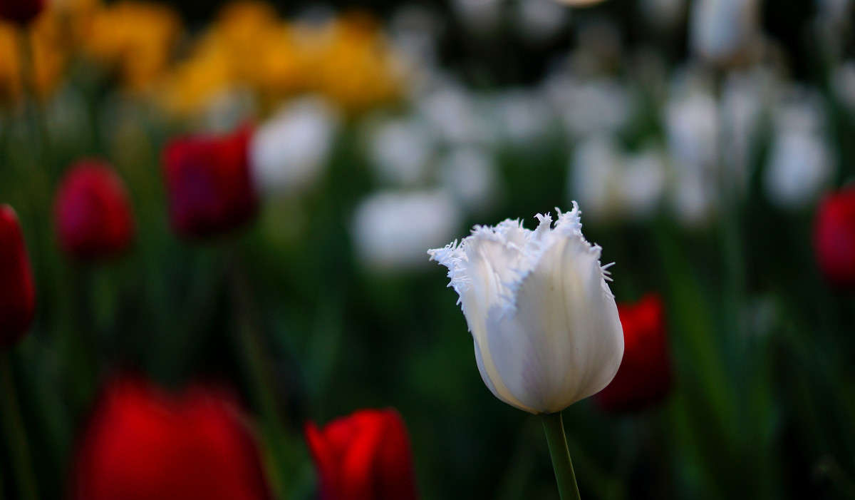 ������� ����� �������  �� PhotoGeek.ru #������ ��� �������