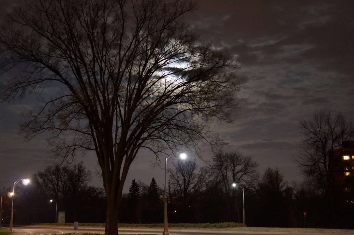 ���� ���������� ����� �������  �� PhotoGeek.ru #�����