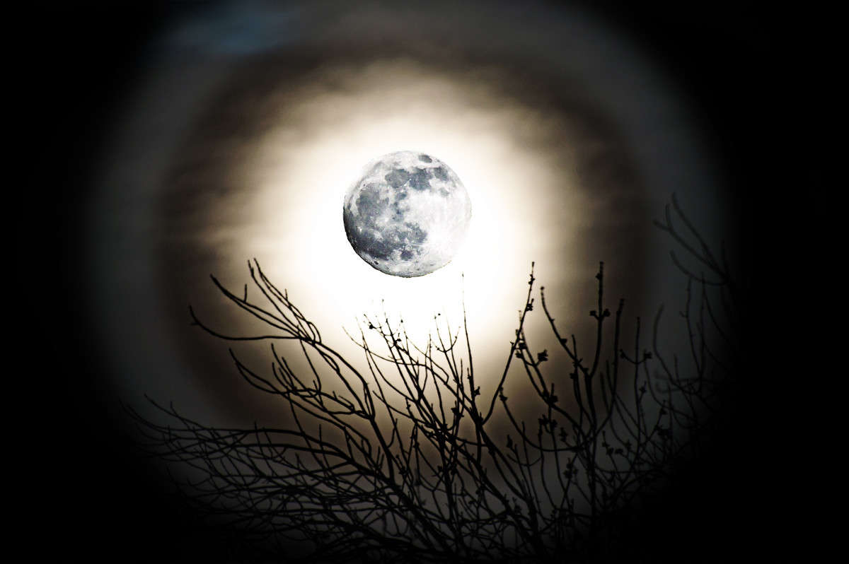 ��� �� ���� ��������� ����� �������  �� PhotoGeek.ru #������ ��� �������