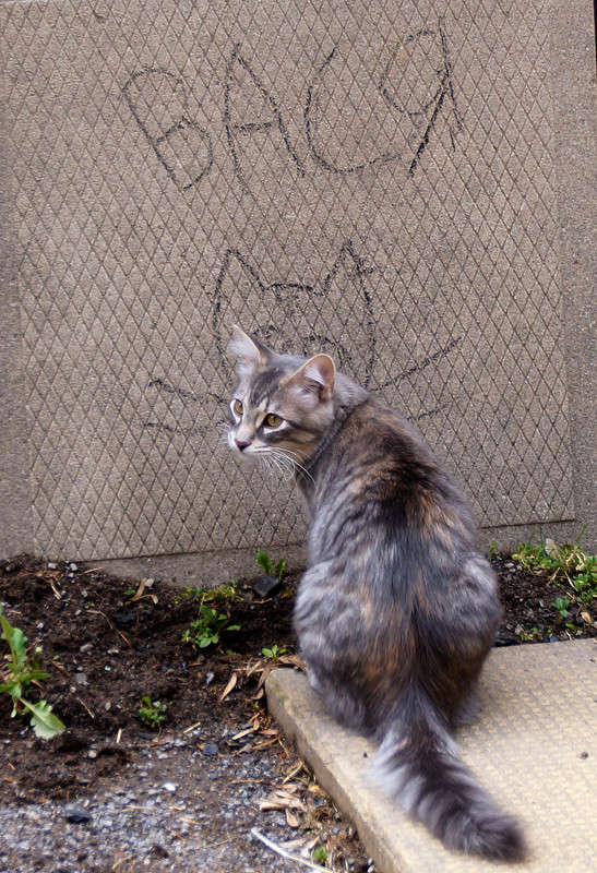 ������� � ���� ��� � ������� ����� �������  �� PhotoGeek.ru #�������� ���